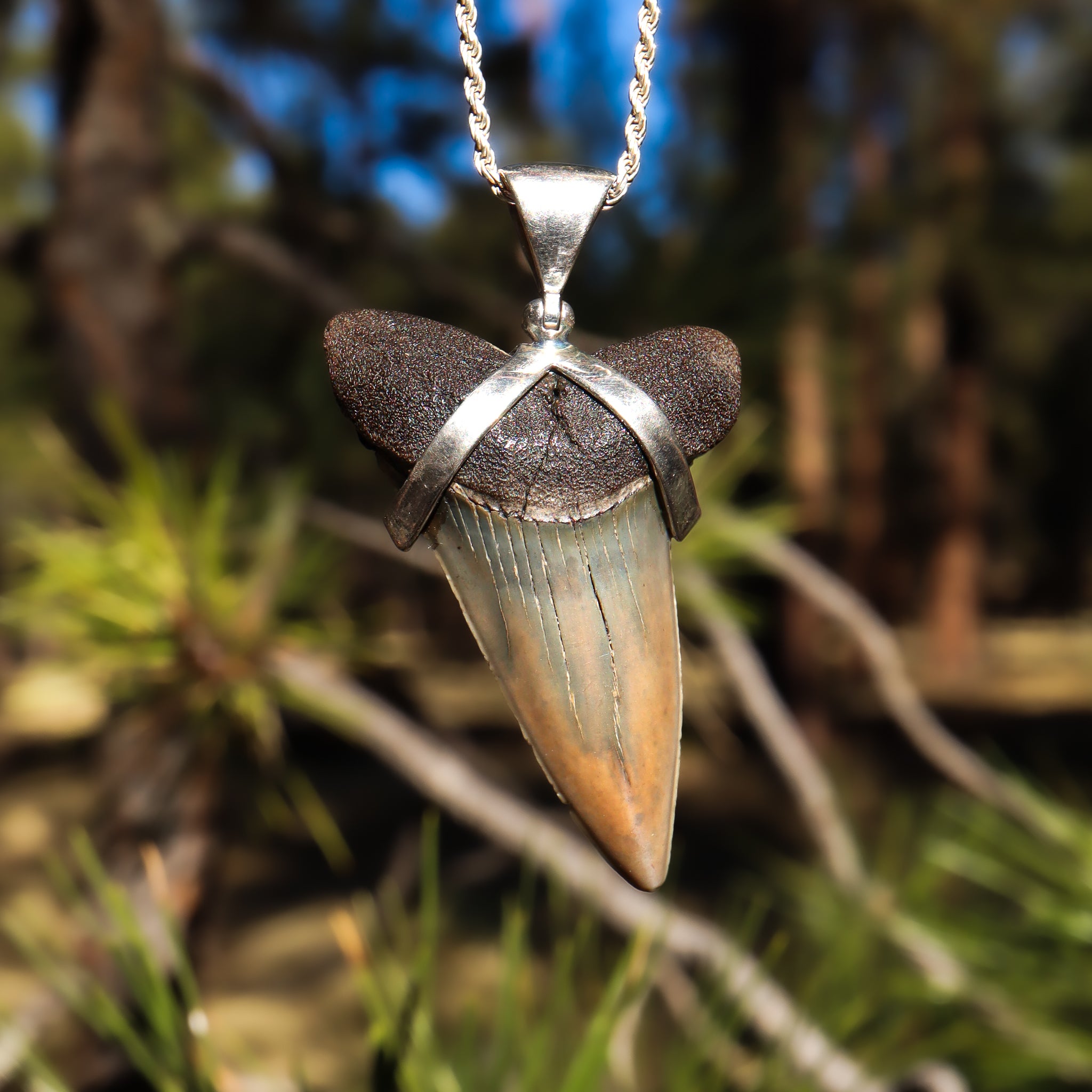 Shark Tooth Pendant