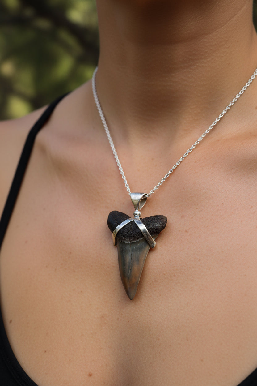 Shark tooth pendant on a chain against a natural background