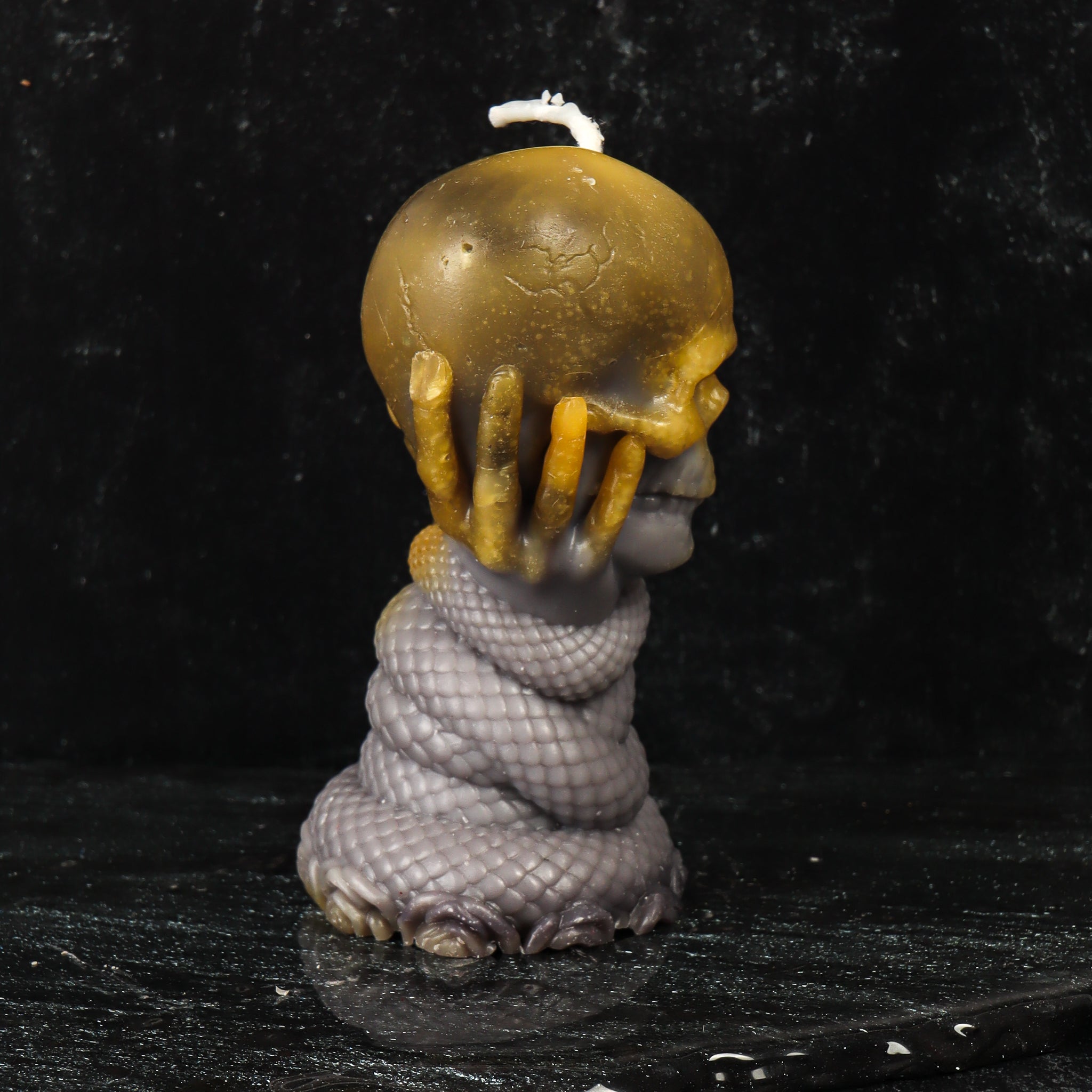 Serpent Hands Skull Candle