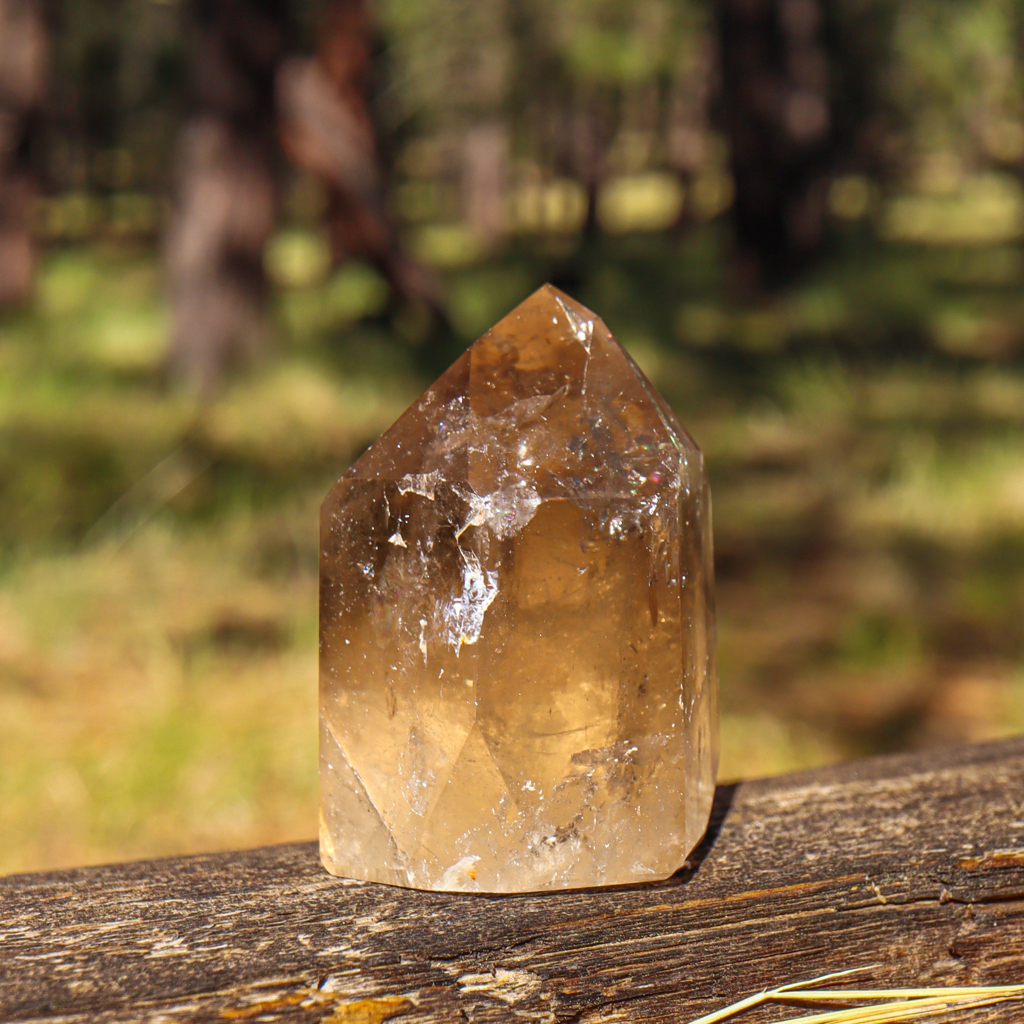 Smoky Citrine Point