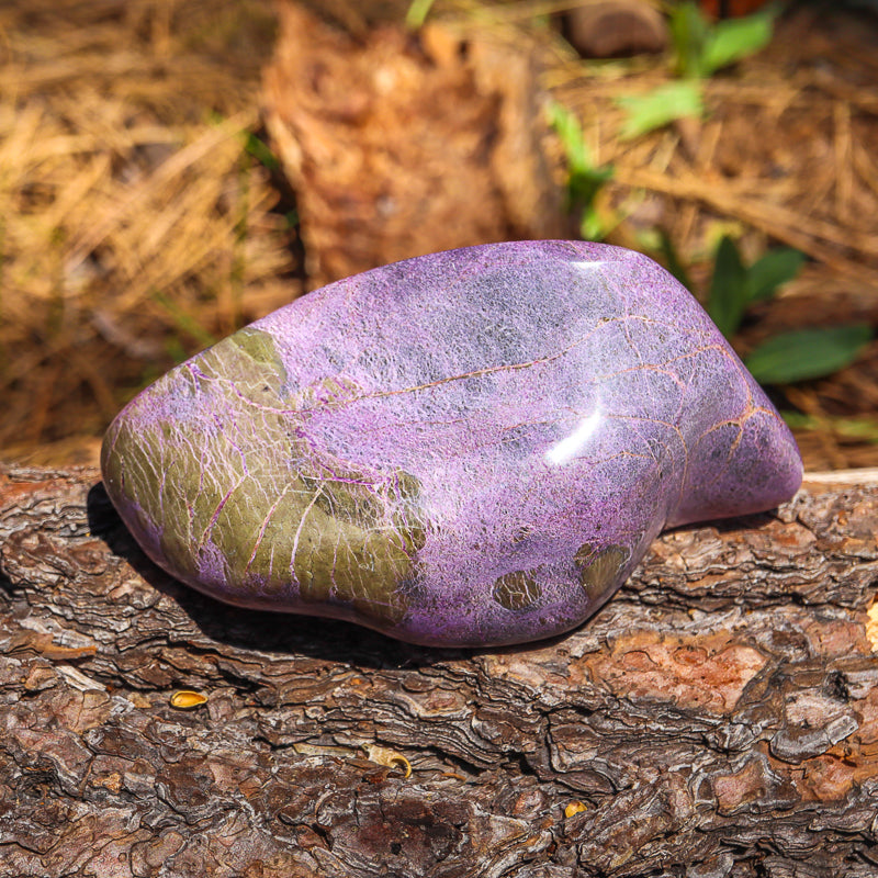 Stichtite Free Form