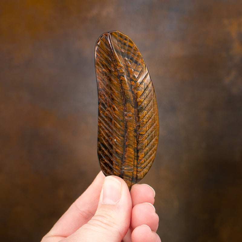 Tiger's Eye Carved Feather