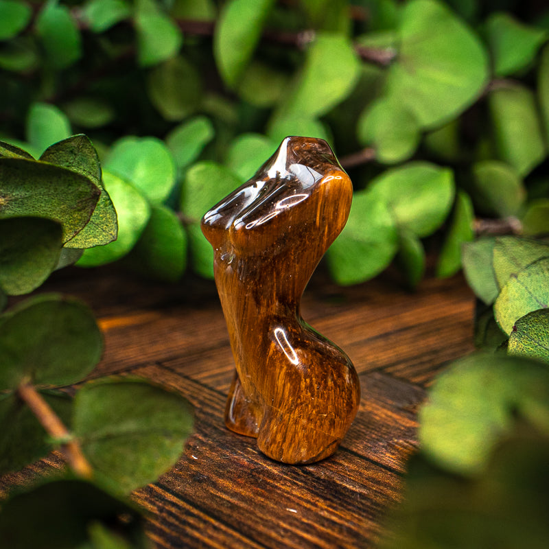 Tiger's Eye Goddess Bust
