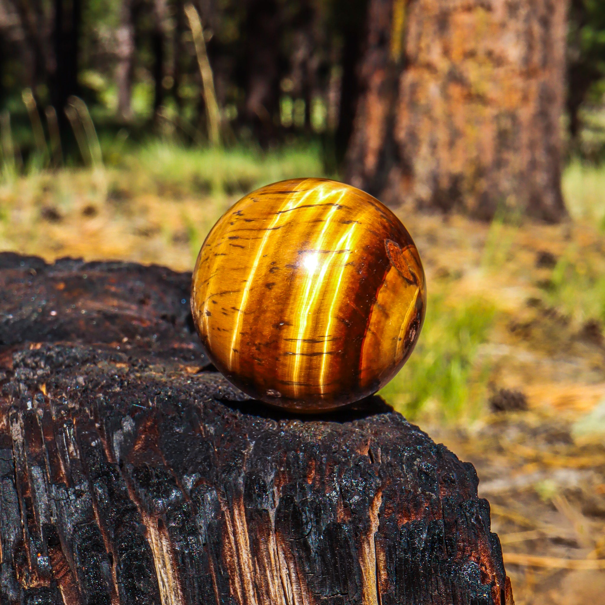 Tiger's Eye Sphere