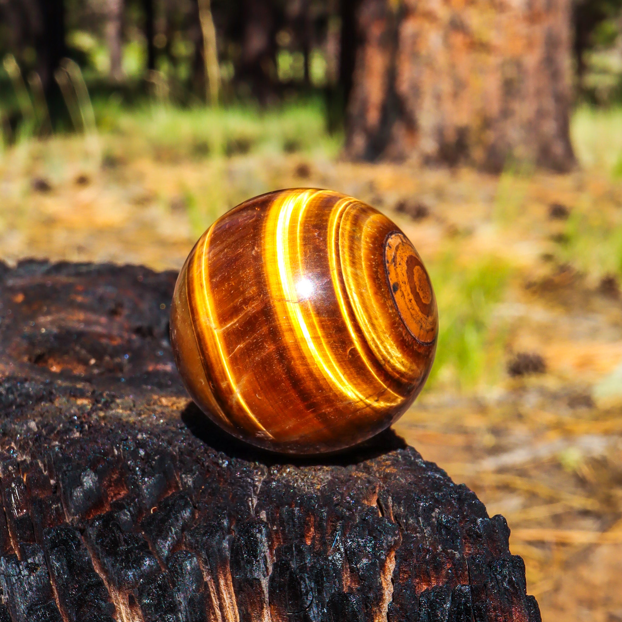 Tiger's Eye Sphere