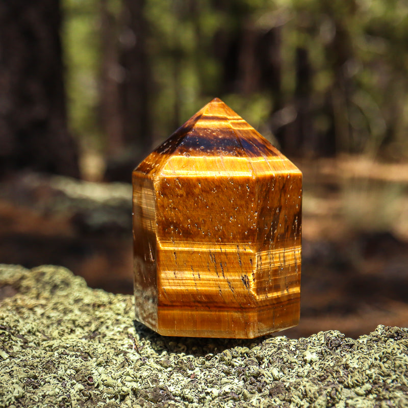 Tiger's Eye Point