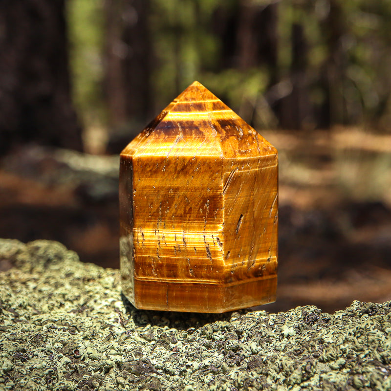 Tiger's Eye Point