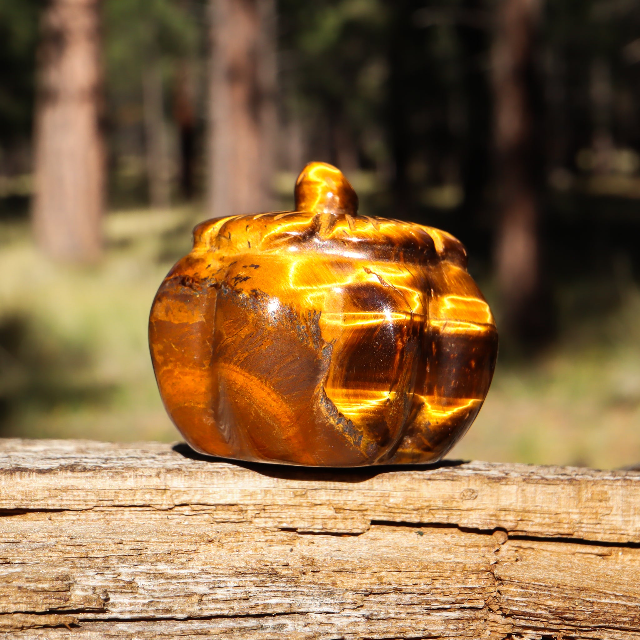 Tiger's Eye Carved Pumpkin