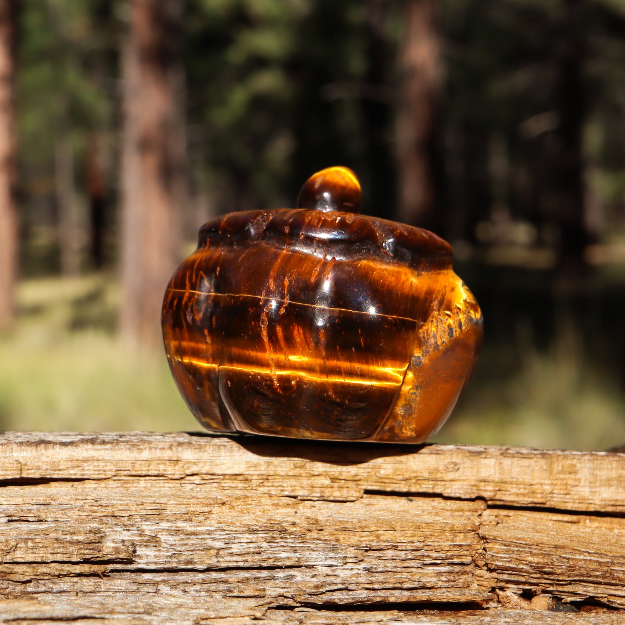 Tiger's Eye Carved Pumpkin