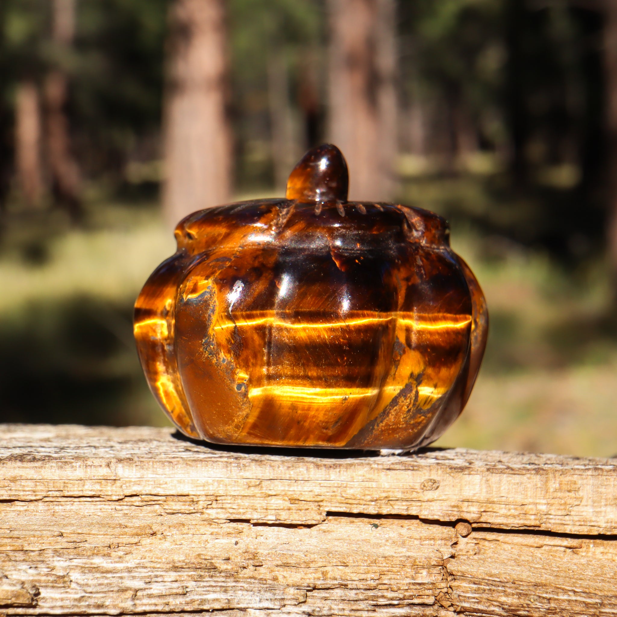 Tiger's Eye Carved Pumpkin