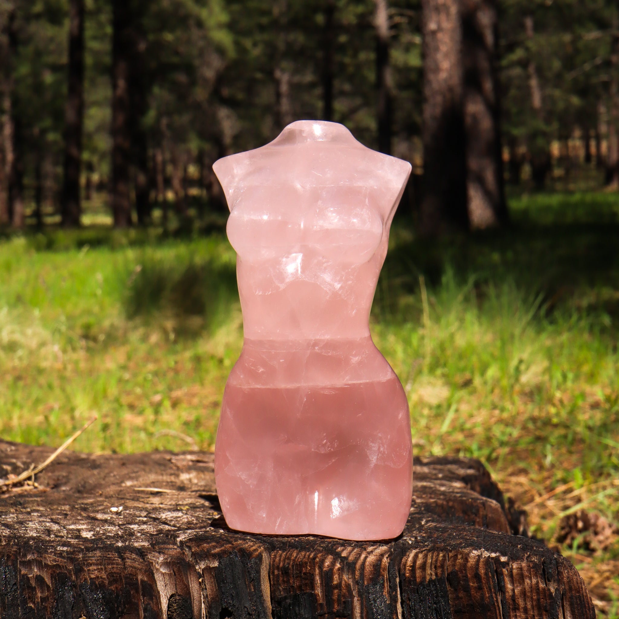 Large Rose Quartz Goddess Bust