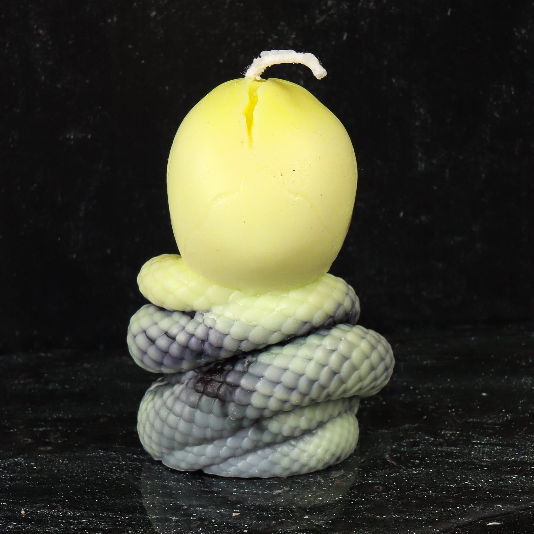 Serpent Wrapped Skull Candle