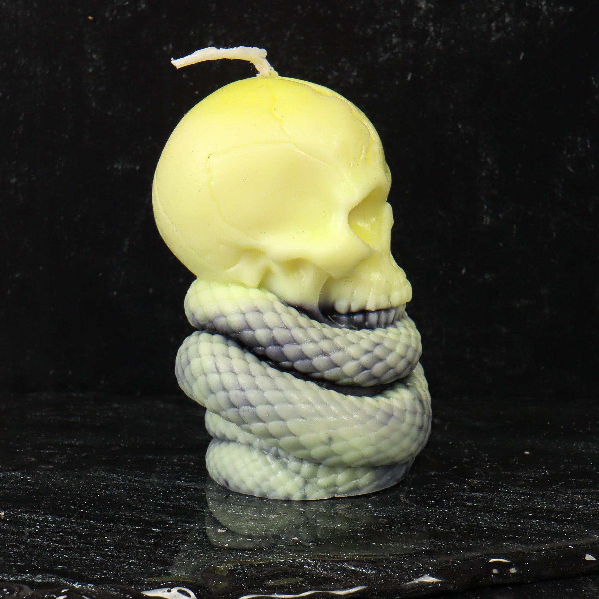 Serpent Wrapped Skull Candle
