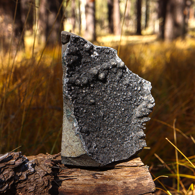 Black Amethyst Geode