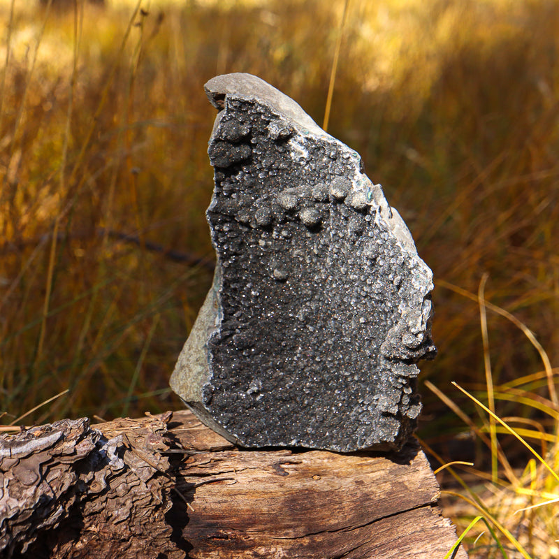 Black Amethyst Geode