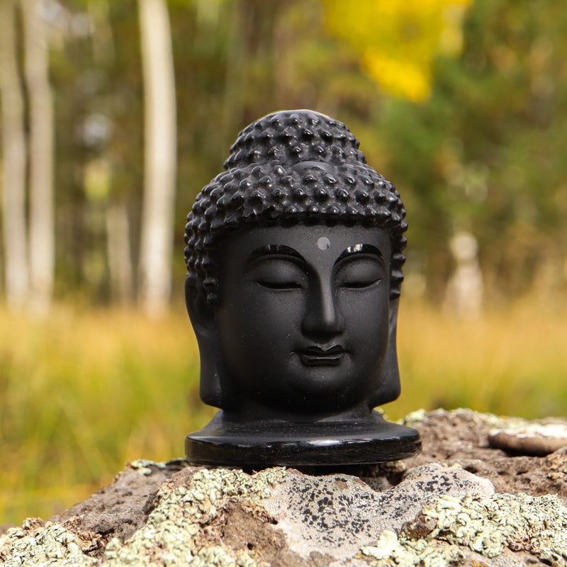 Shungite Buddha Head Carving