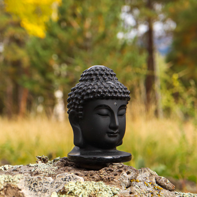 Shungite Buddha Head Carving