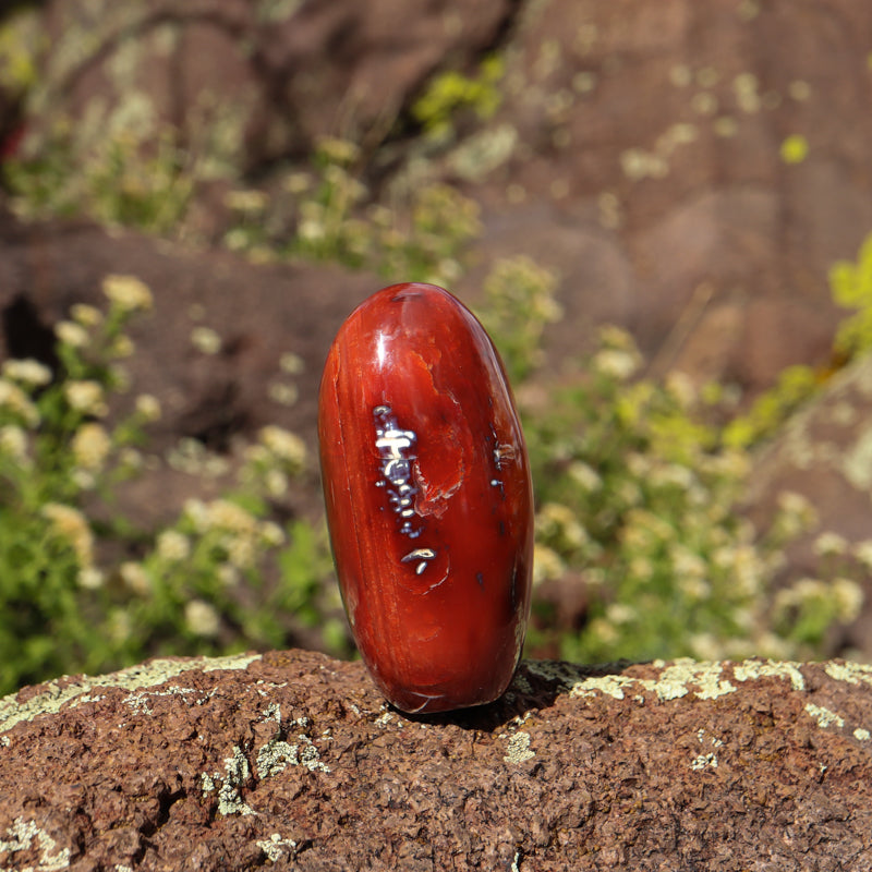 Carnelian Polished Free Form