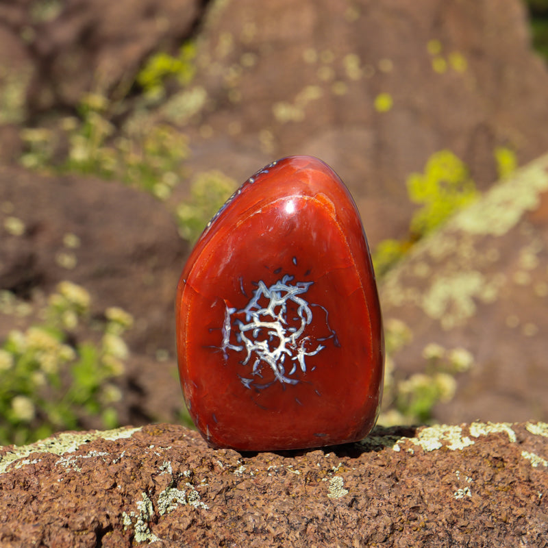 Carnelian Polished Free Form