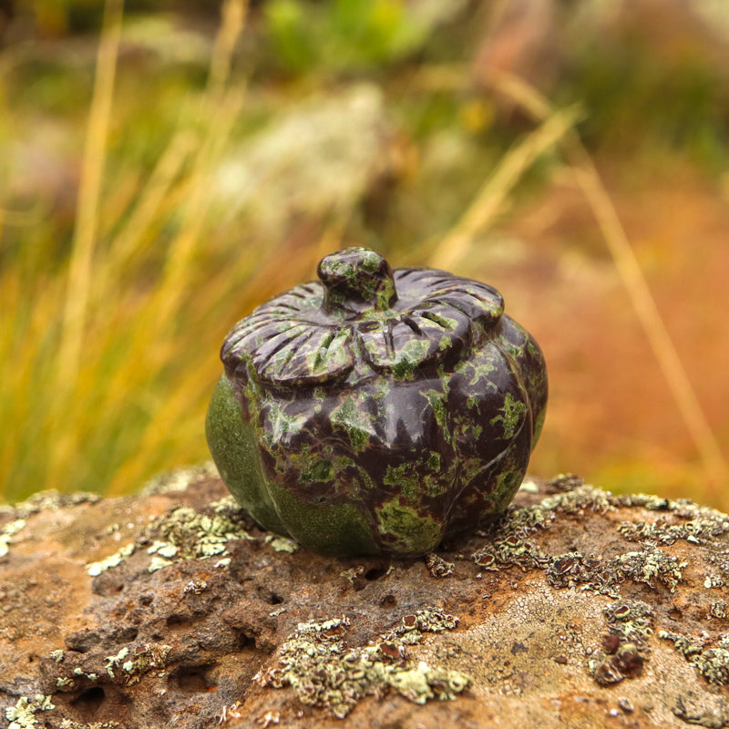 Dragons Blood Jasper Pumpkin