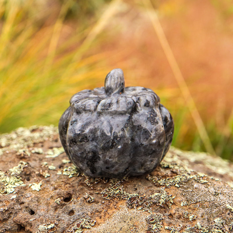 Larvakite Carved Pumpkin