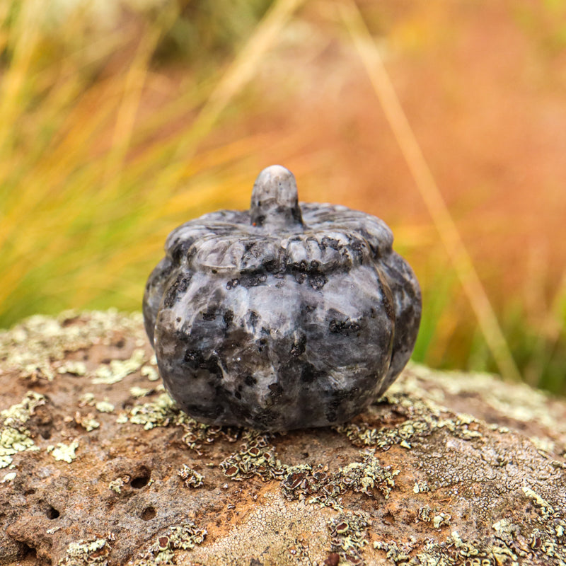 Larvakite Carved Pumpkin