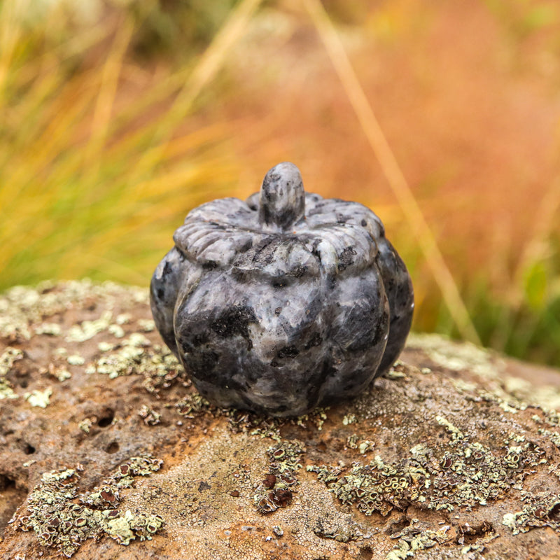 Larvakite Carved Pumpkin