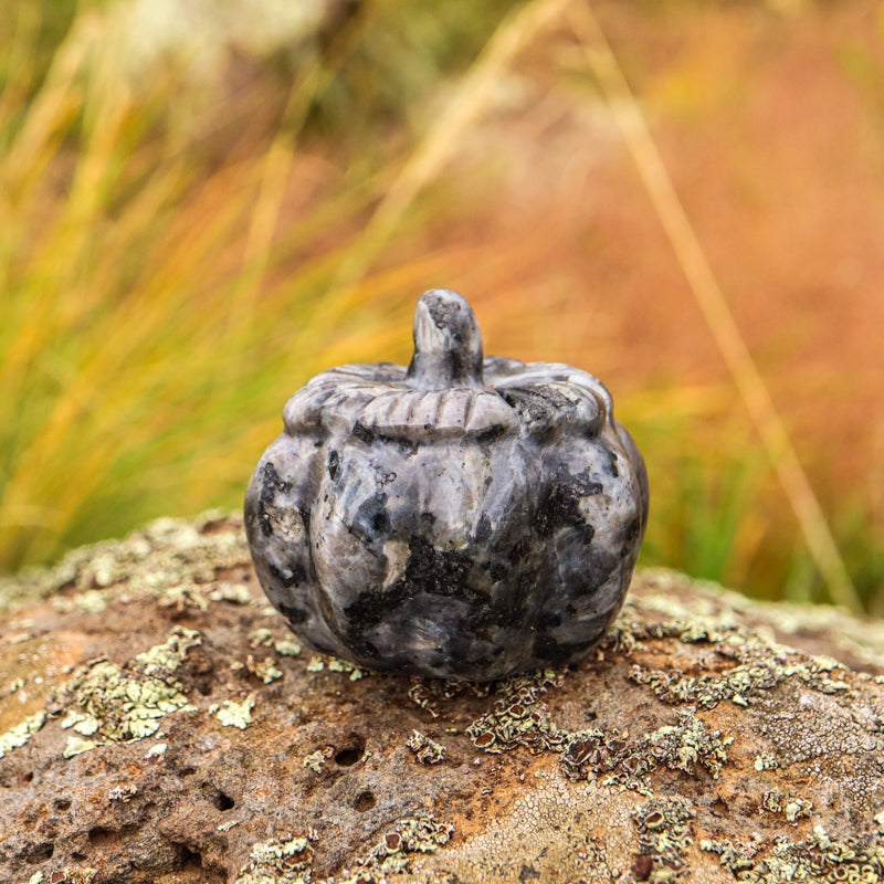 Larvakite Carved Pumpkin