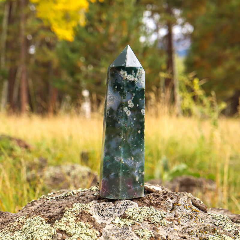 Moss Agate Point