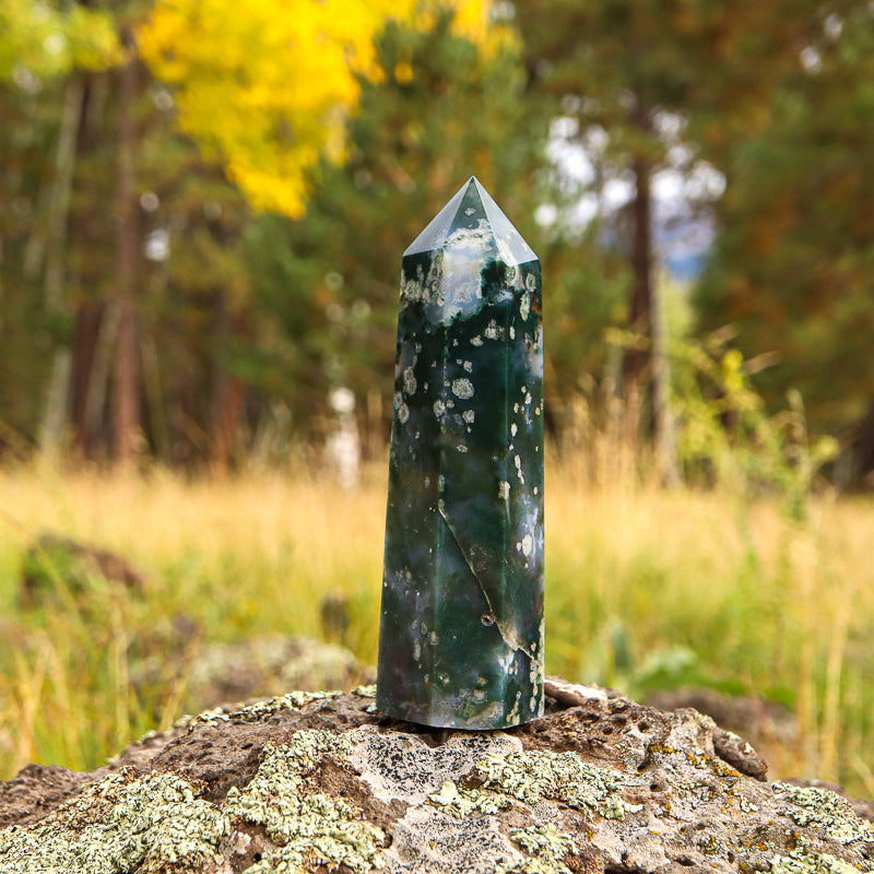 Moss Agate Point