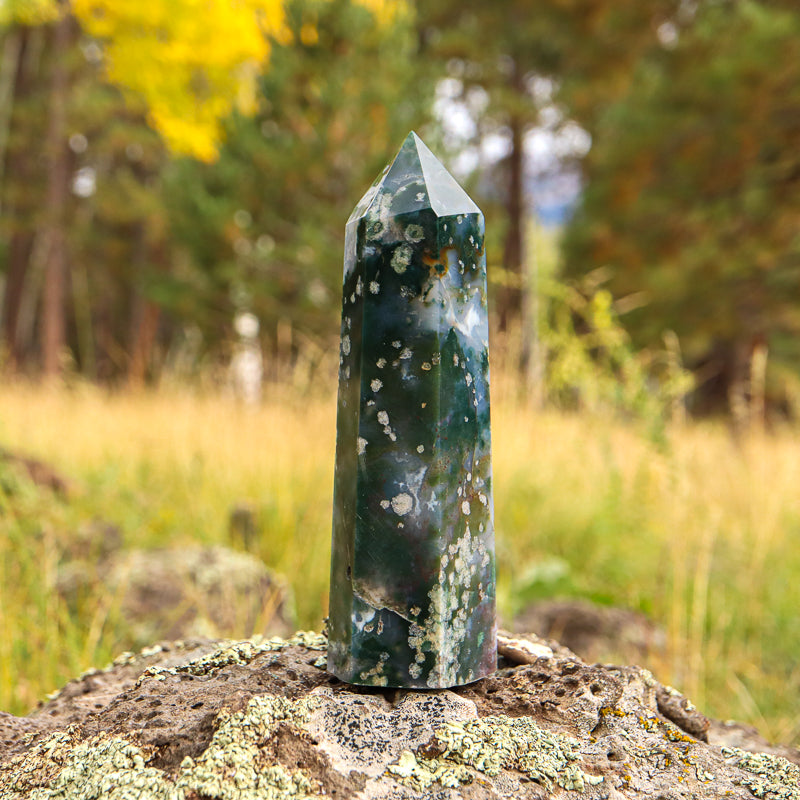 Moss Agate Point