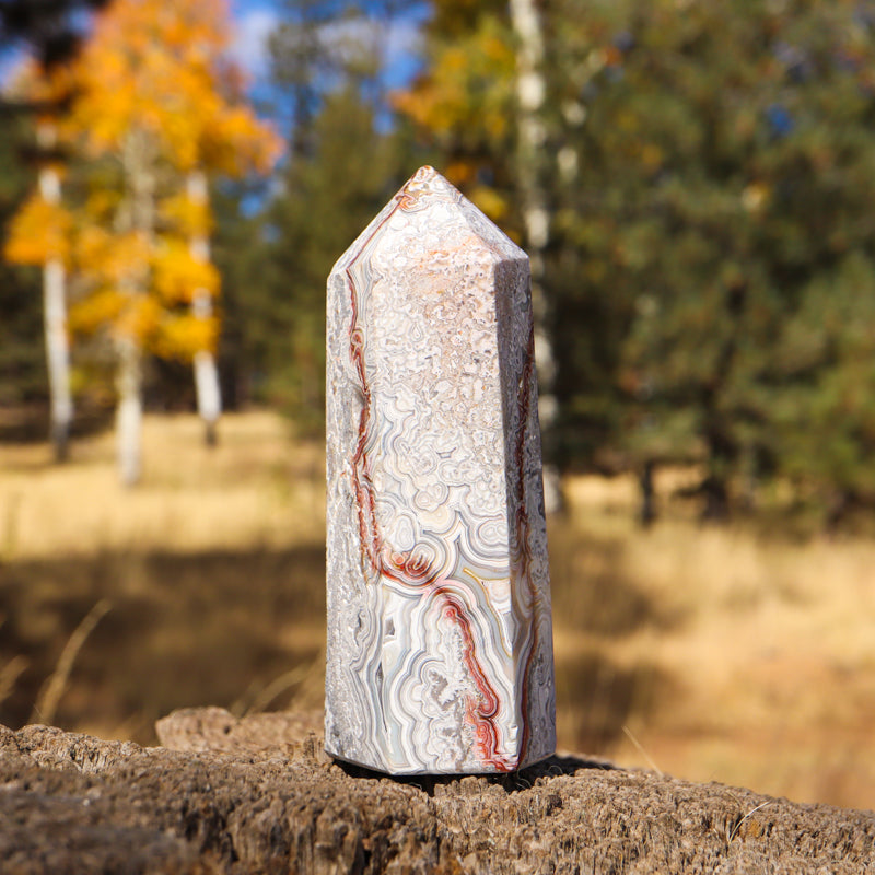 Red Crazy Lace Agate Point