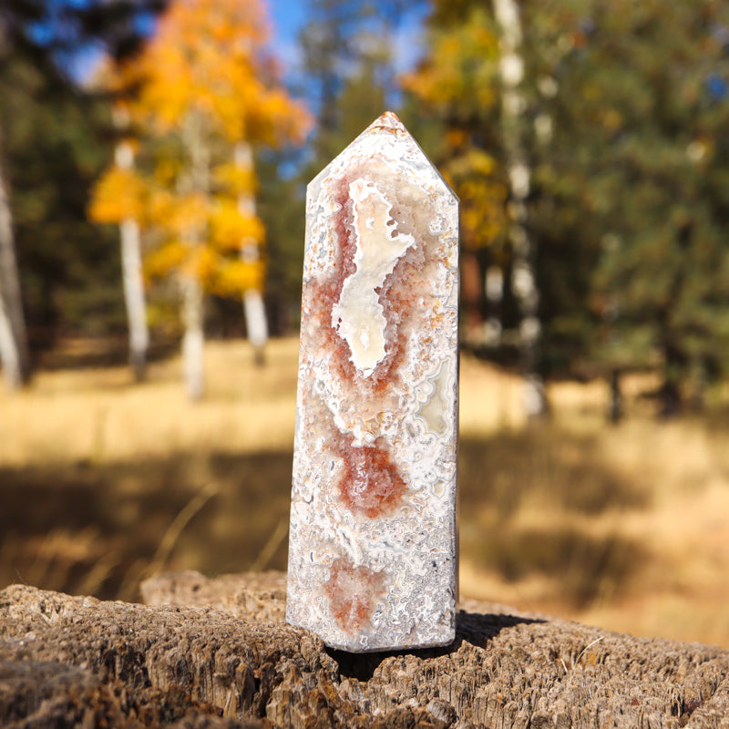 Red Crazy Lace Agate Point