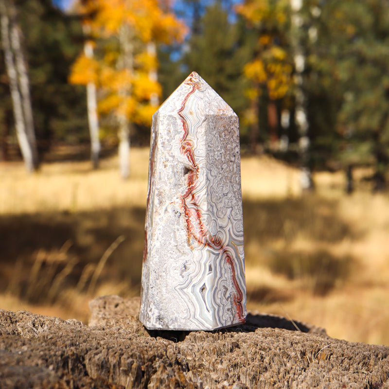 Red Crazy Lace Agate Point