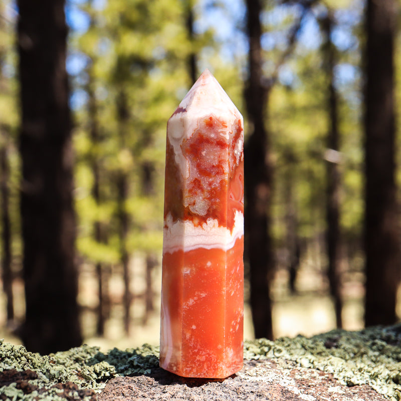 Red Flower Agate Point