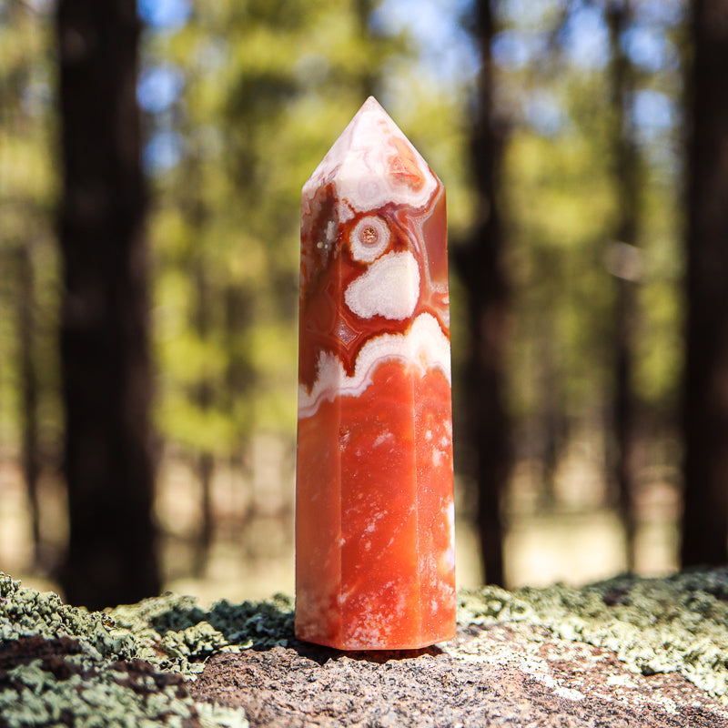 Red Flower Agate Point