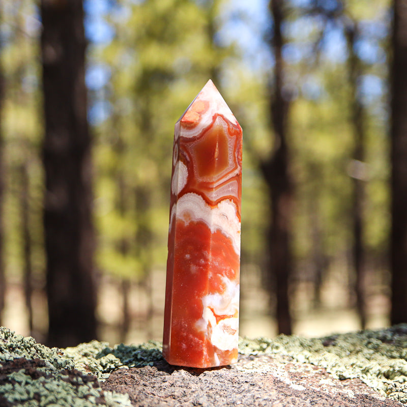 Red Flower Agate Point