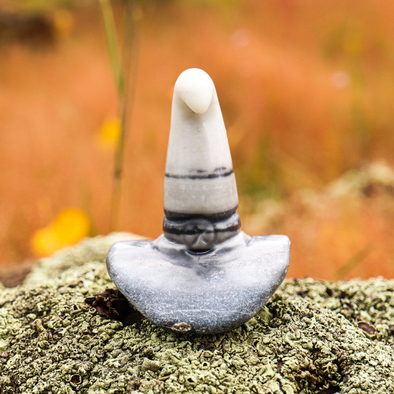 Zebra Jasper Carved Witch Hat