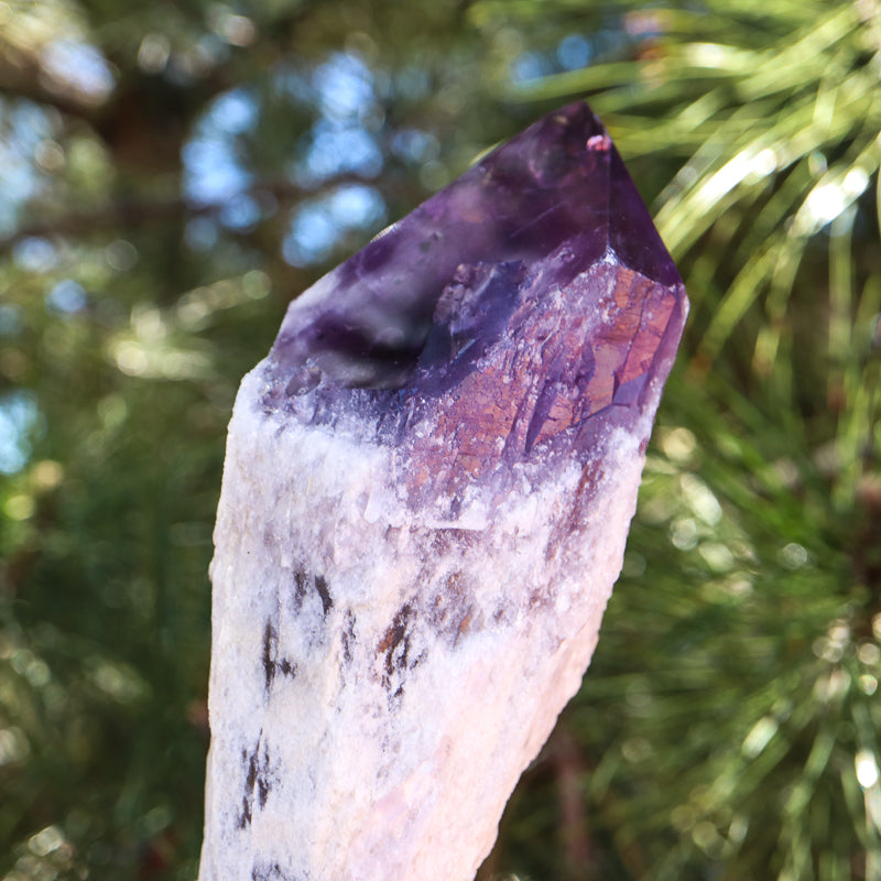 Natural Amethyst Point Crystal Point Aquarius