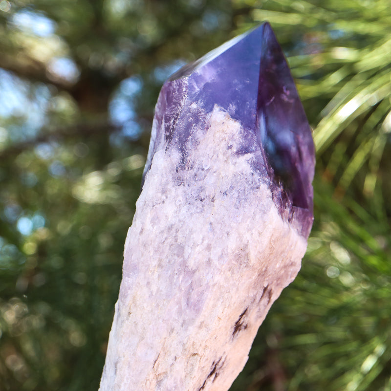 Natural Amethyst Point Crystal Point Aquarius