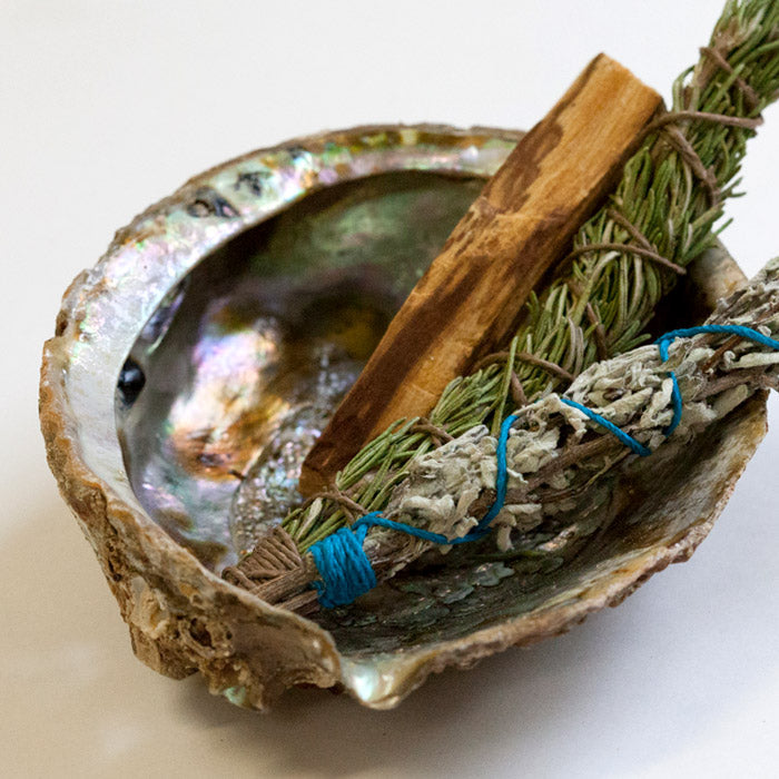 Abalone Shell Bowl Incense Holder Aries 