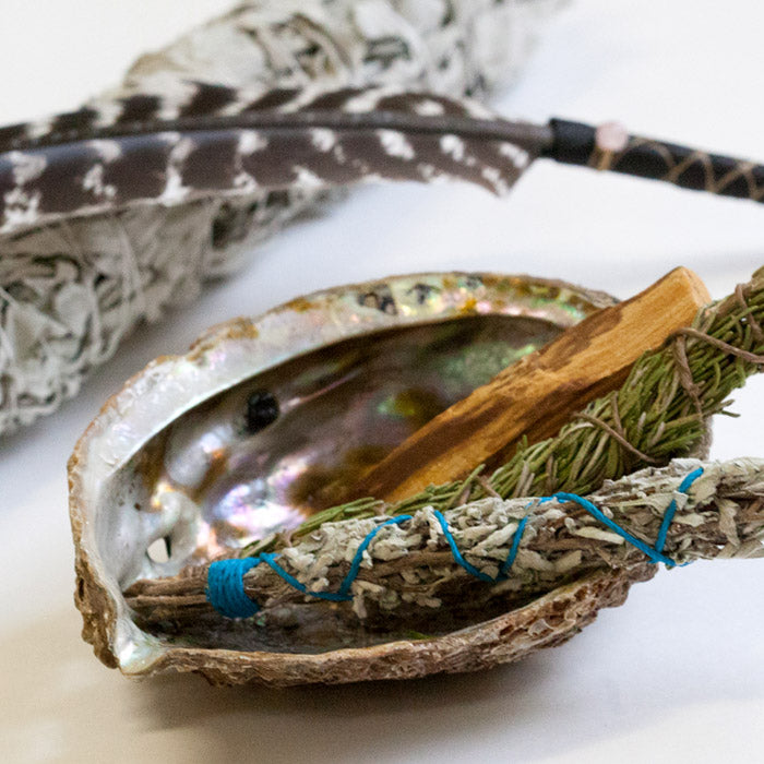 Abalone Shell Bowl Incense Holder Aries