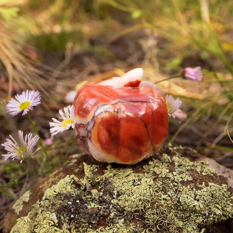 Agate Carved Pumpkin