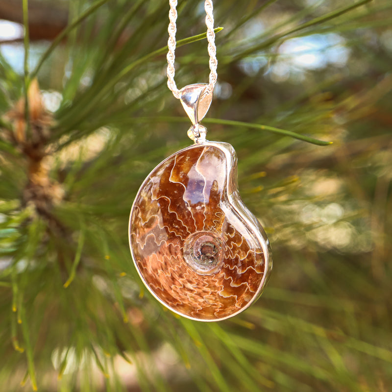 Ammonite Nautilus Pendant