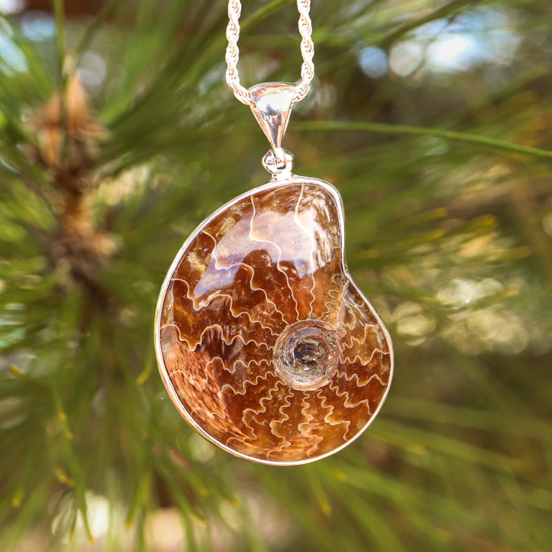 Ammonite Nautilus Pendant