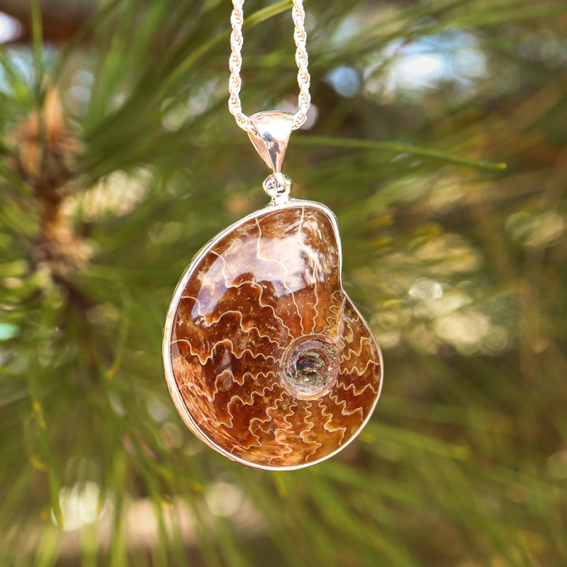 Ammonite Nautilus Pendant