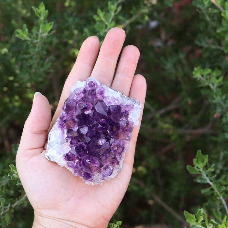 Aquarius Sign Bundle