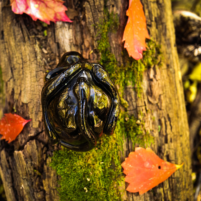 Obsidian Skull with Serpent Crystal Skull Crystal Magic