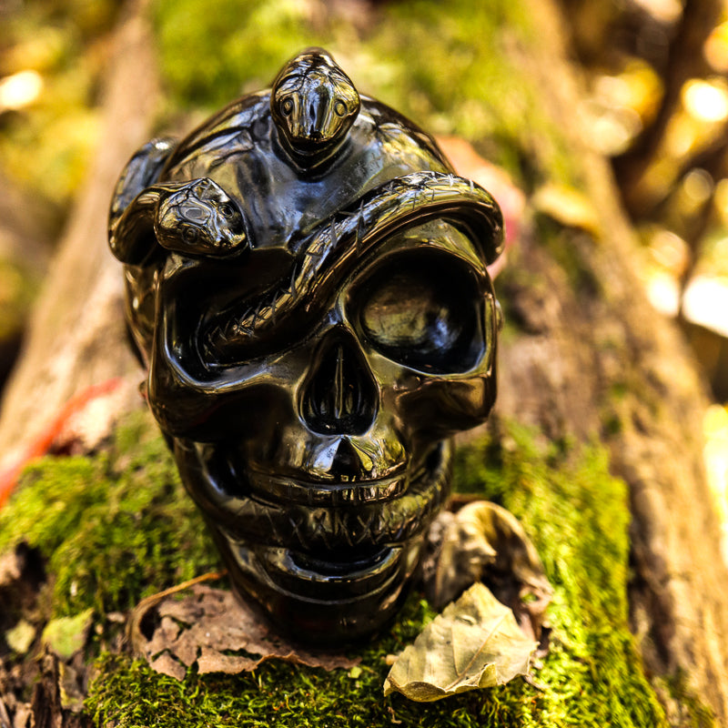 Obsidian Skull with Serpent Crystal Skull Crystal Magic