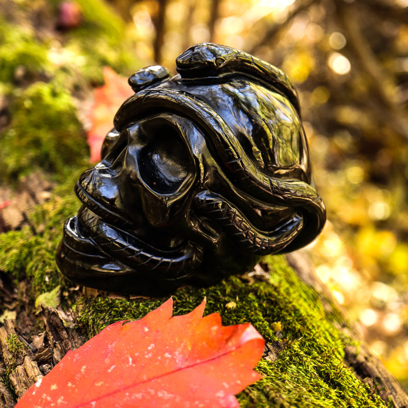 Obsidian Skull with Serpent Crystal Skull Crystal Magic